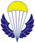 Федерация парашютного спорта Армении.jpg