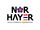 Логотип NOR HAYER г. Уфа.jpg