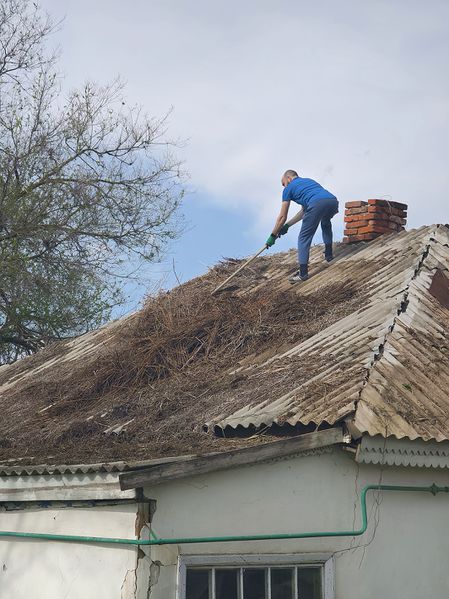 Файл:Местная армянская национальная-культурная автономия «Ани» (Чалтырь) субботник (25.04.2025) 2.jpg