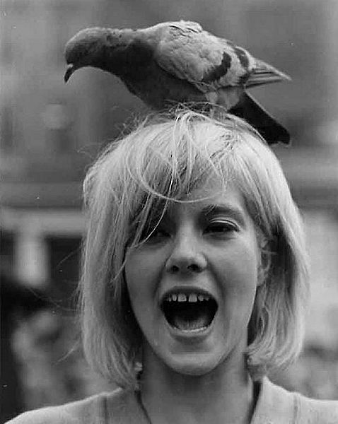 Файл:Сильвия Вартан390ж.jpg