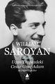 125Уильям Сароян.jpg