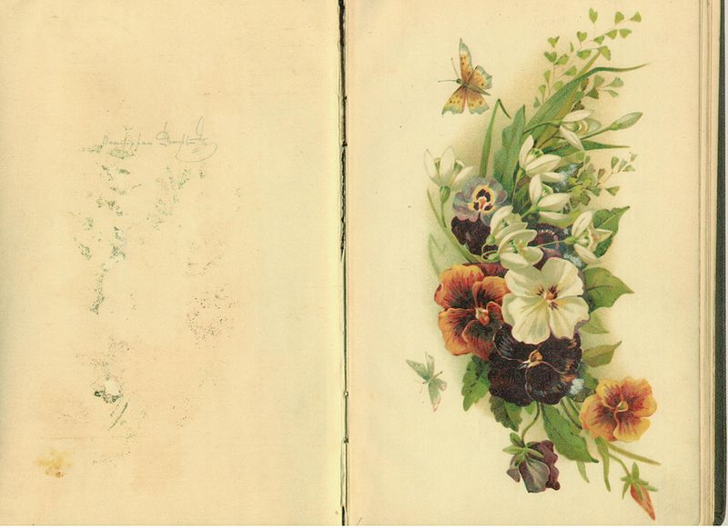 Файл:О. Анапьян15.jpg