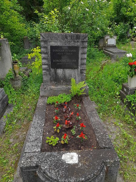 Файл:István Donogán.jpg