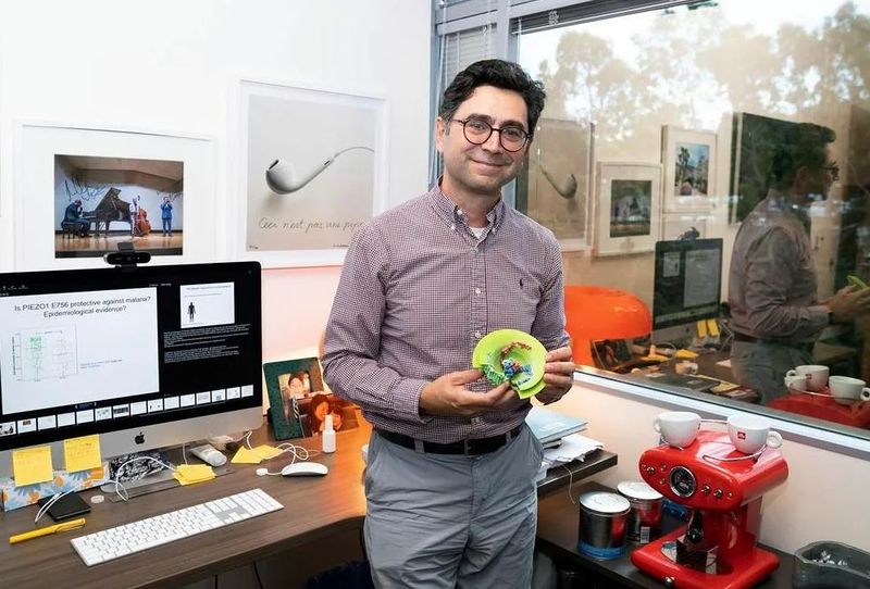 Файл:Ardem Patapoutian68.JPG