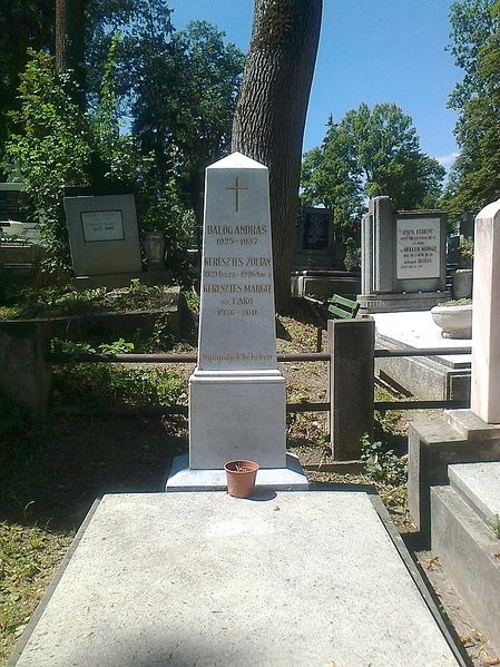 Файл:Золтан Керестеш.jpg