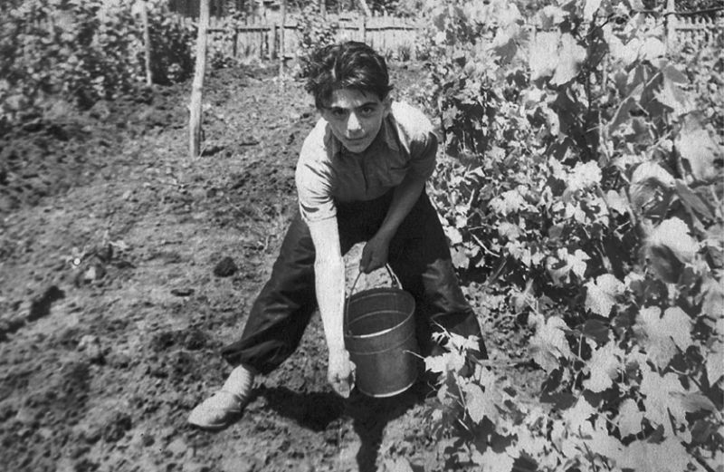 Файл:Кабаян Арсен Биданович 2.jpg