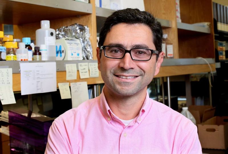 Файл:Ardem Patapoutian72.JPG