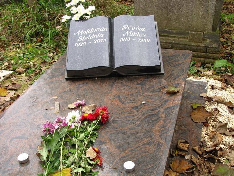 Файл:Стефания Молдован.jpg